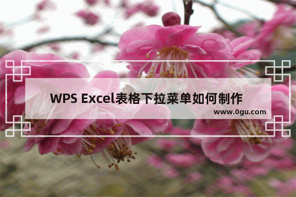 WPS Excel表格下拉菜单如何制作 WPS Excel设置下拉菜单的方法