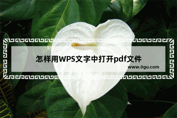 怎样用WPS文字中打开pdf文件