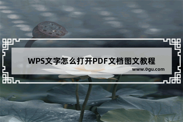 WPS文字怎么打开PDF文档图文教程