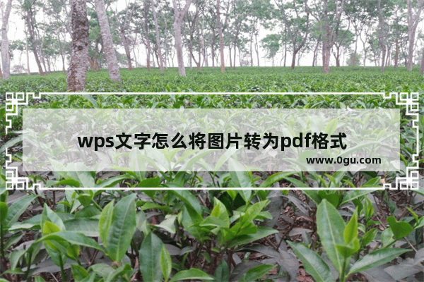 wps文字怎么将图片转为pdf格式