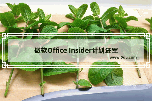 微软Office Insider计划进军苹果Mac版Outlook