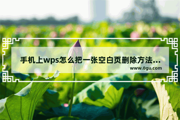 手机上wps怎么把一张空白页删除方法介绍