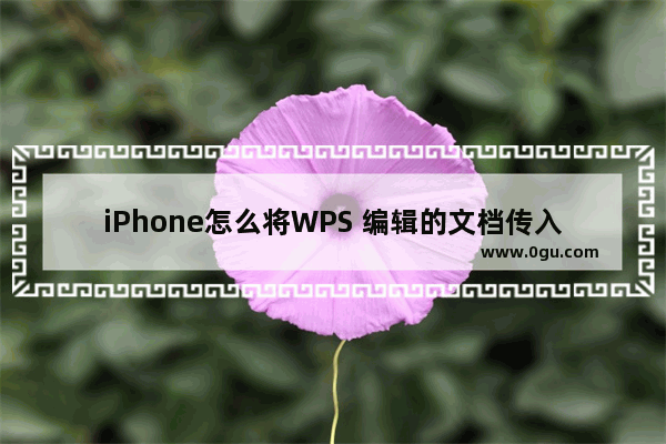 iPhone怎么将WPS 编辑的文档传入电脑?