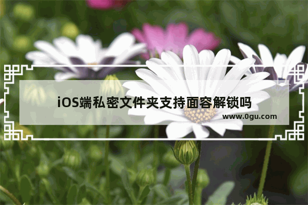 iOS端私密文件夹支持面容解锁吗