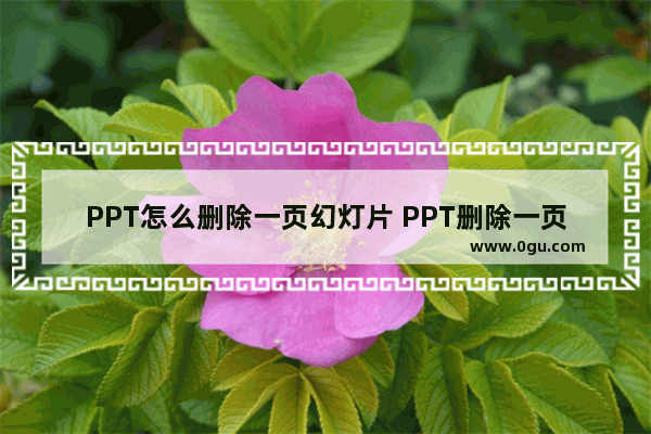 PPT怎么删除一页幻灯片 PPT删除一页幻灯片的方法