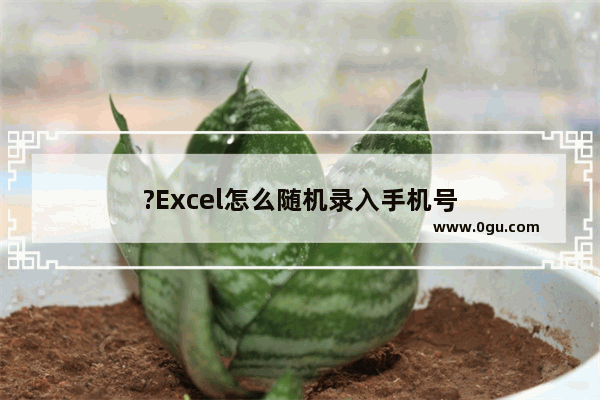 ?Excel怎么随机录入手机号