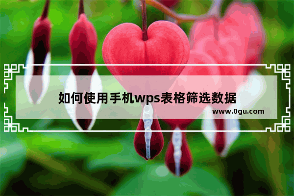 如何使用手机wps表格筛选数据