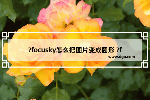 ?focusky怎么把图片变成圆形 ?focusky改变图片形状的方法