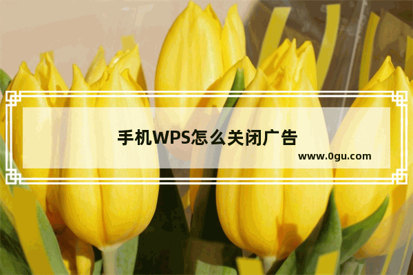 手机WPS怎么关闭广告