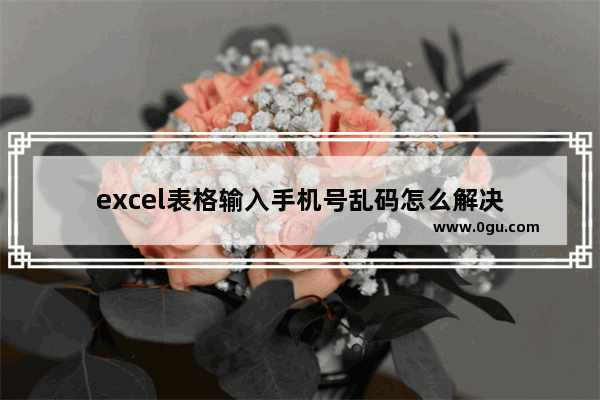 excel表格输入手机号乱码怎么解决