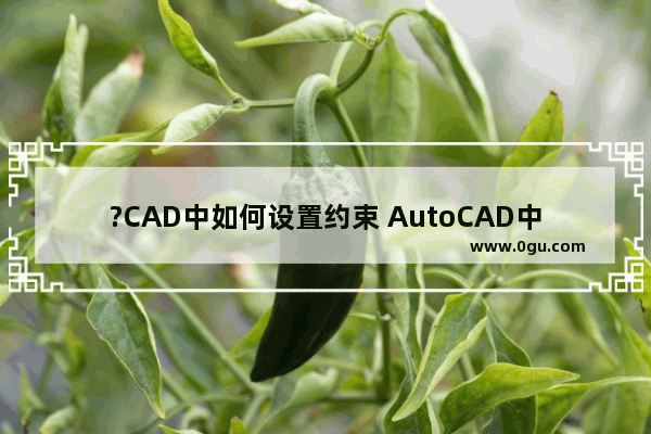 ?CAD中如何设置约束 AutoCAD中将两个圆约束为同心圆的方法教程