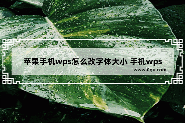 苹果手机wps怎么改字体大小 手机wps改字号的方法教程