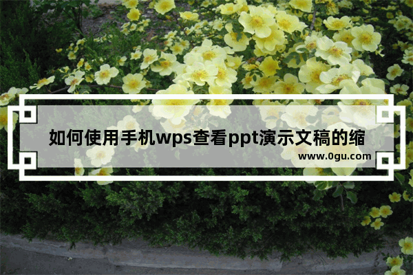 如何使用手机wps查看ppt演示文稿的缩略图