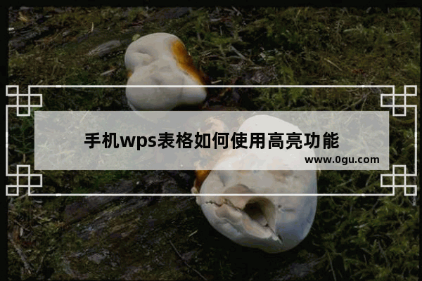 手机wps表格如何使用高亮功能