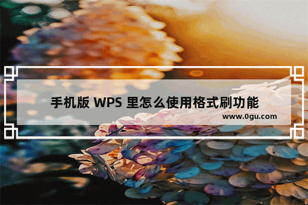 手机版 WPS 里怎么使用格式刷功能