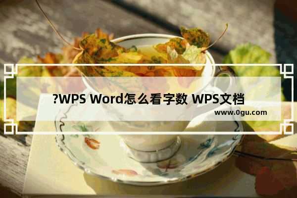 ?WPS Word怎么看字数 WPS文档中调出字数栏查看统计信息的方法教程