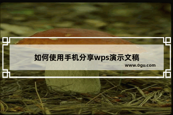 如何使用手机分享wps演示文稿