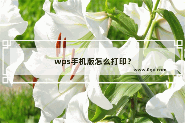 wps手机版怎么打印？