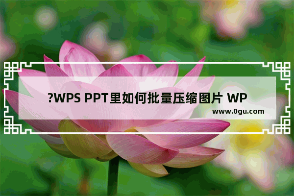 ?WPS PPT里如何批量压缩图片 WPS演示文稿中批量压缩图片大小的方法教程