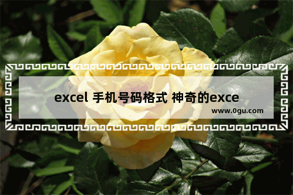 excel 手机号码格式 神奇的excel数字格式和函数帮助我们轻松搞定