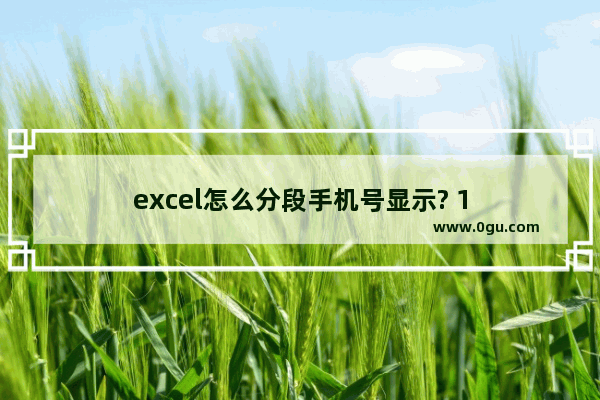 excel怎么分段手机号显示? 1