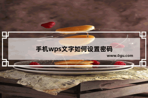 手机wps文字如何设置密码