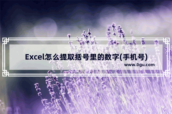 Excel怎么提取括号里的数字(手机号)？