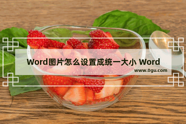 Word图片怎么设置成统一大小 Word图片设置成统一大小的方法