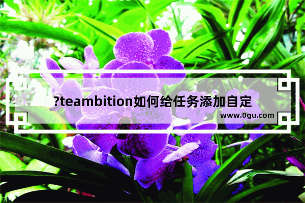 ?teambition如何给任务添加自定义状态 ?teambition设置状态的方法