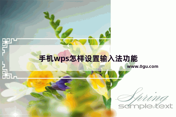 手机wps怎样设置输入法功能