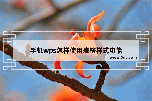 手机wps怎样使用表格样式功能