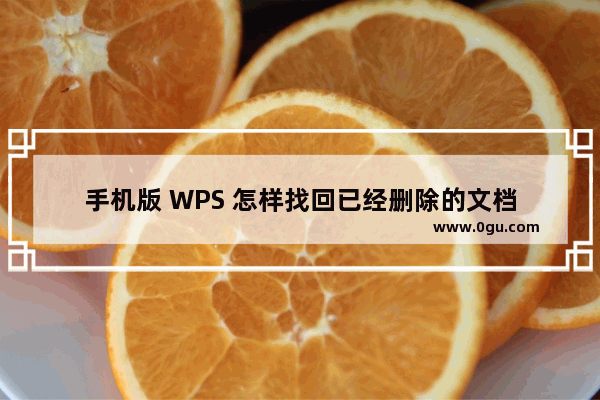 手机版 WPS 怎样找回已经删除的文档