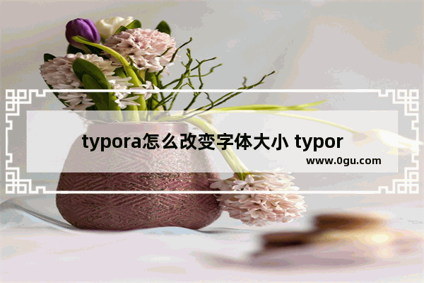 typora怎么改变字体大小 typora调整字体大小的方法