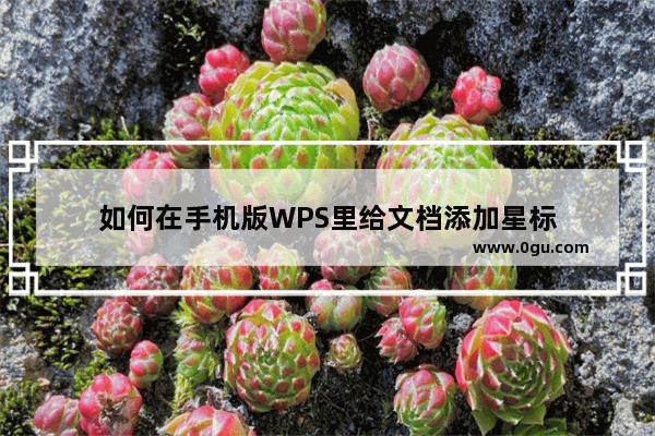 如何在手机版WPS里给文档添加星标