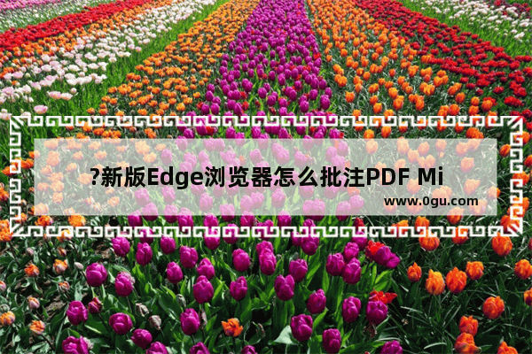 ?新版Edge浏览器怎么批注PDF Microsoft edge浏览器中标注PDF文件的方法教程