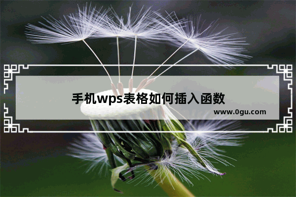 手机wps表格如何插入函数