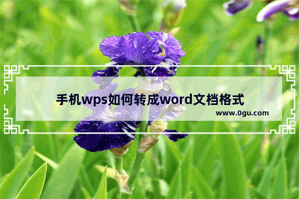 手机wps如何转成word文档格式