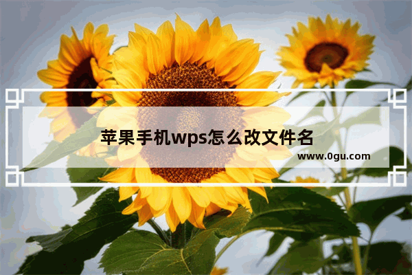 苹果手机wps怎么改文件名