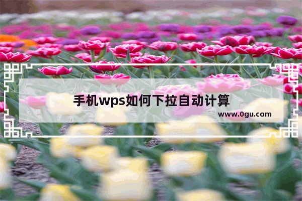 手机wps如何下拉自动计算