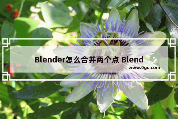 Blender怎么合并两个点 Blender合并两个点的方法