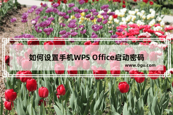 如何设置手机WPS Office启动密码