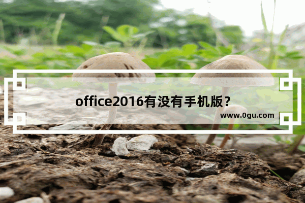 office2016有没有手机版？