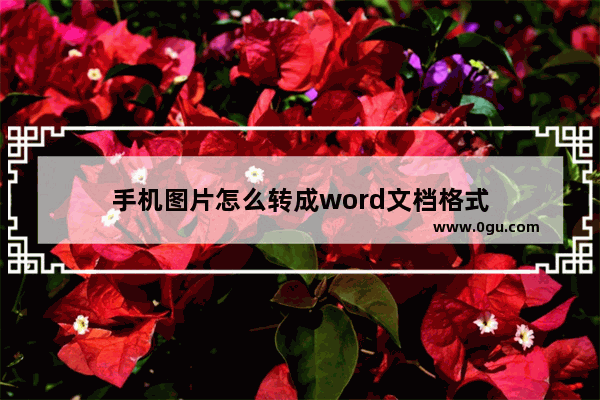 手机图片怎么转成word文档格式