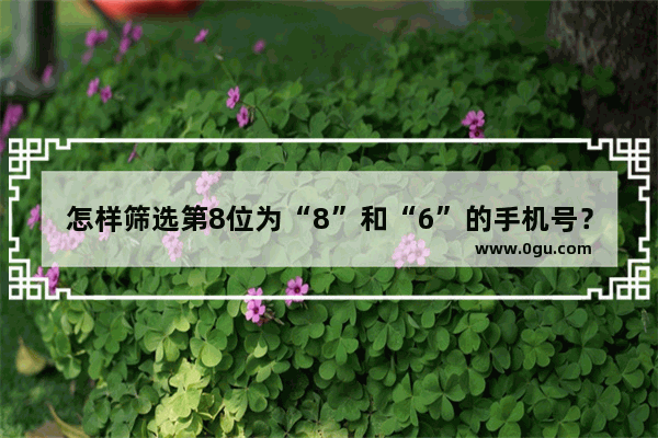 怎样筛选第8位为“8”和“6”的手机号？