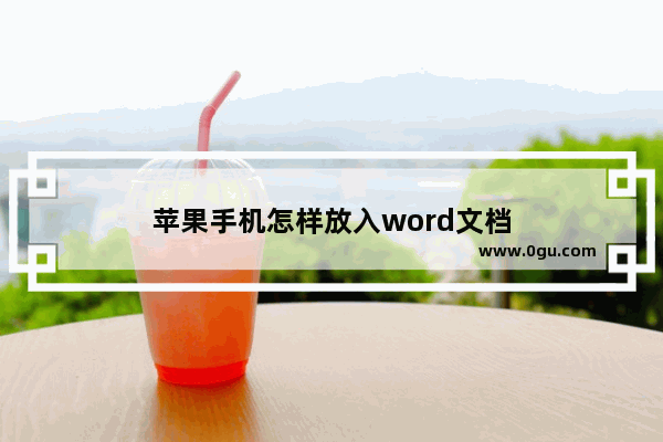 苹果手机怎样放入word文档