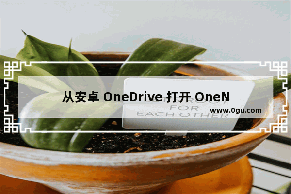 从安卓 OneDrive 打开 OneNote 笔记本显示：无法打开此分区