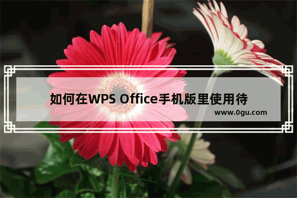 如何在WPS Office手机版里使用待办功能