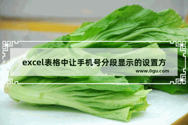 excel表格中让手机号分段显示的设置方法介绍