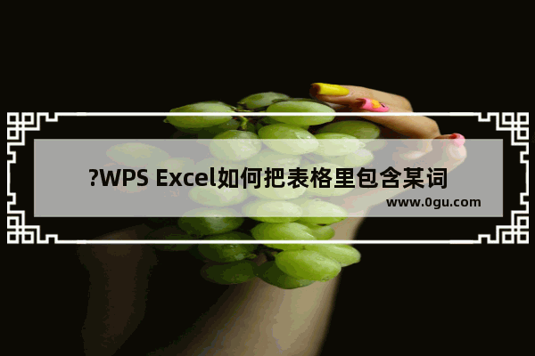 ?WPS Excel如何把表格里包含某词的内容筛选出来 WPS表格快速筛选出包含某个字的数据的教程