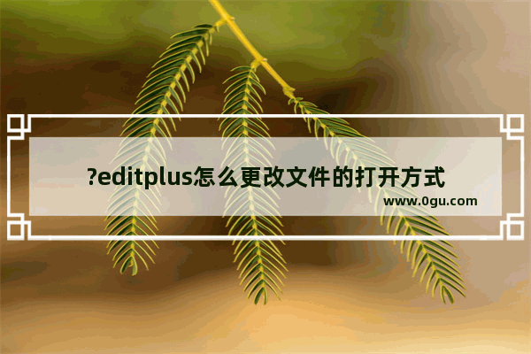 ?editplus怎么更改文件的打开方式 ?editplus调整文件打开方式的方法